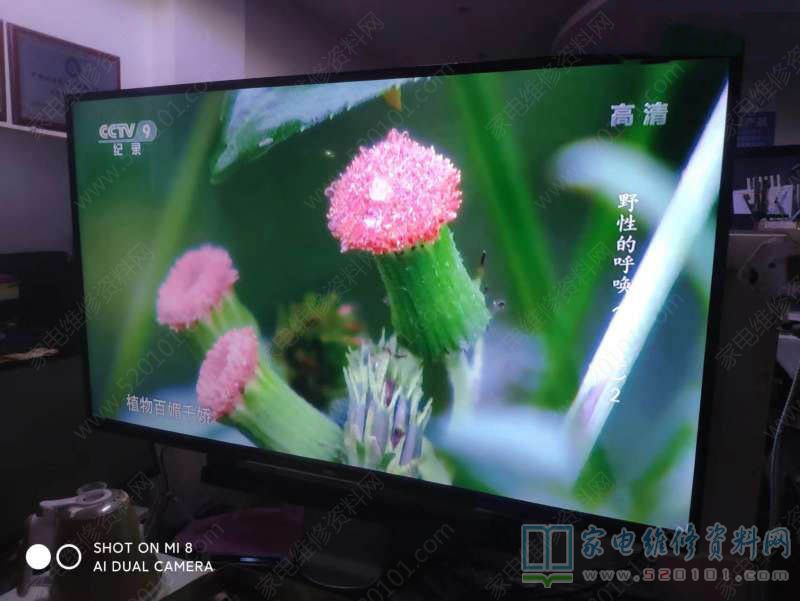 TCL D55A561U液晶电视屏幕出现竖条花屏的维修 第6张